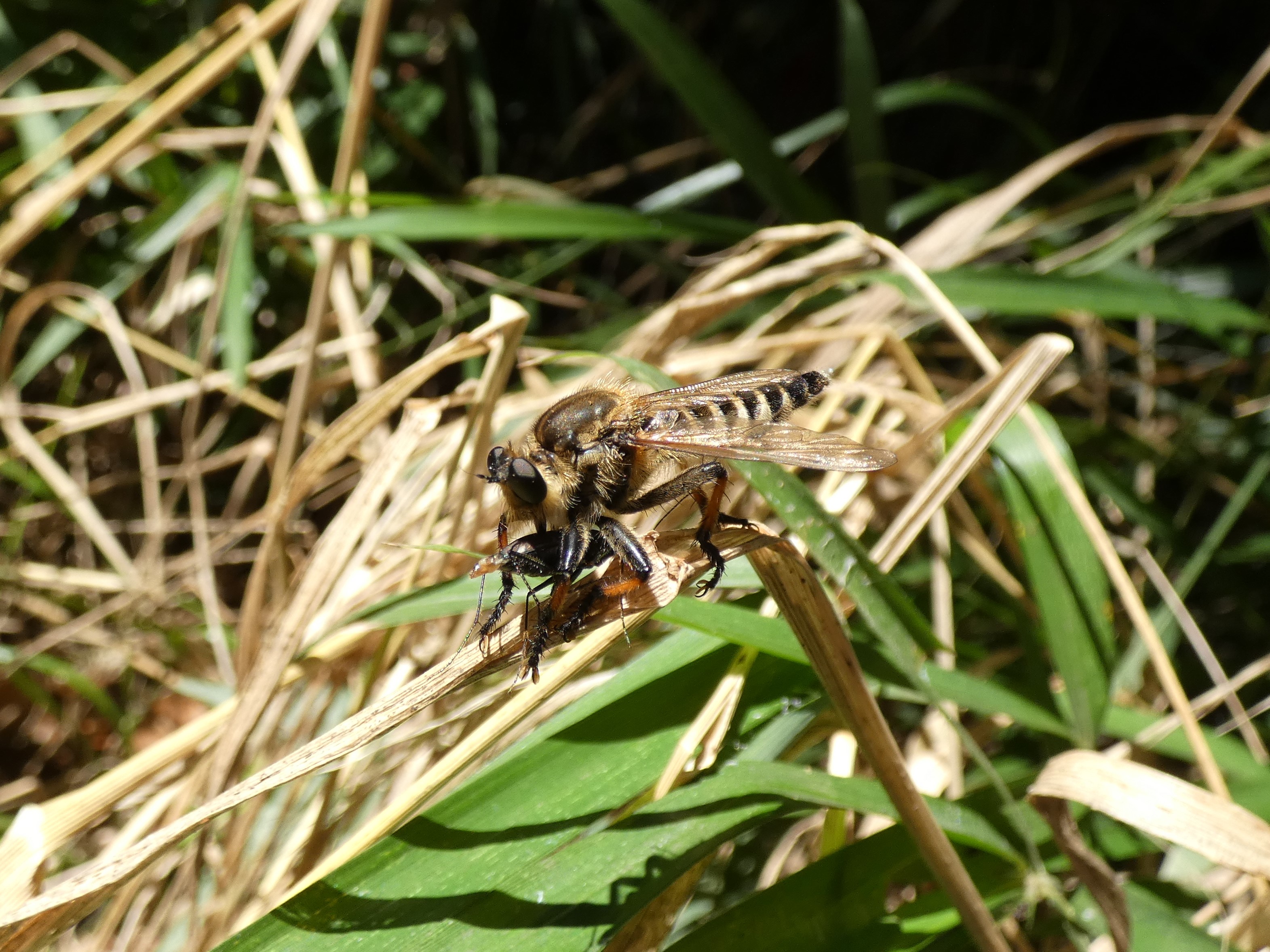 photo_5